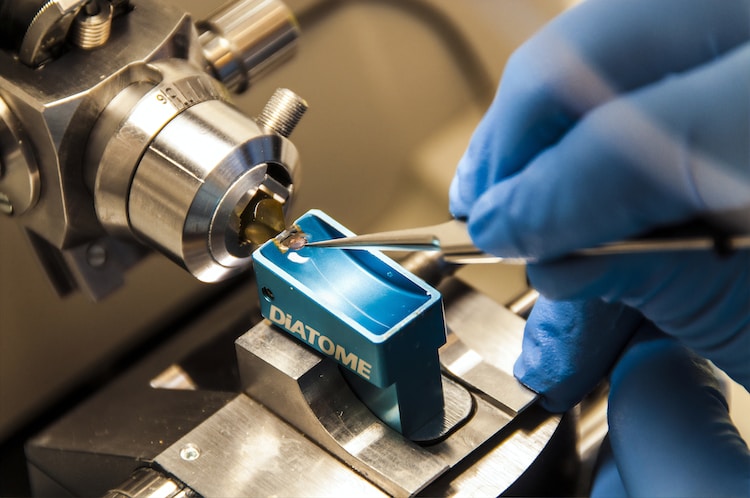 快充芯片廠商_快充芯片廠家,第1張 快充芯片廠商_快充芯片廠家,第1張